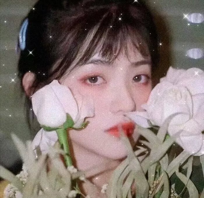 青楼红杏四十年
